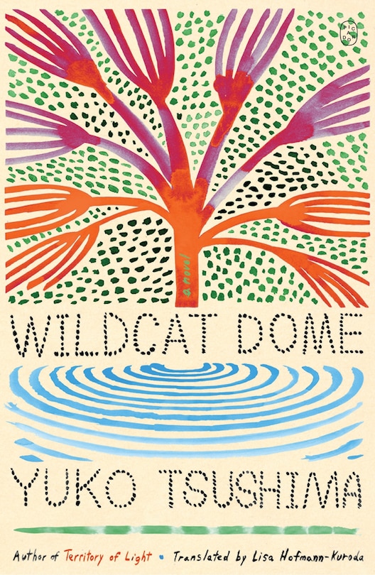 Couverture_Wildcat Dome