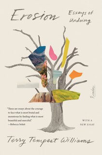 Front cover_Erosion