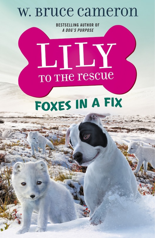 Couverture_Lily To The Rescue: Foxes In A Fix