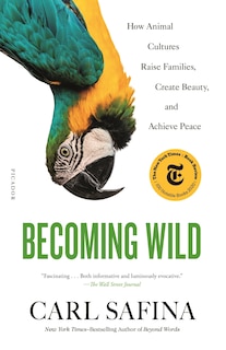 Front cover_Becoming Wild
