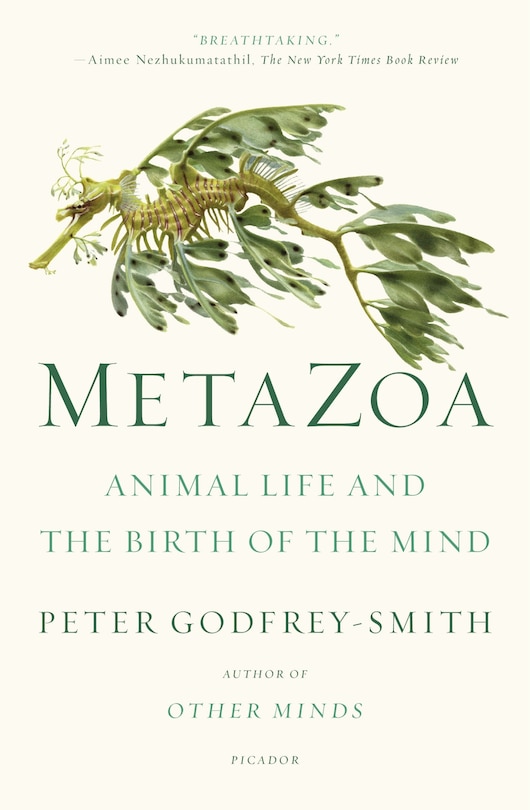 Metazoa: Animal Life And The Birth Of The Mind