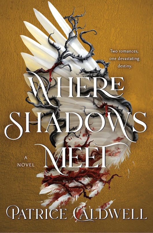 Couverture_Where Shadows Meet