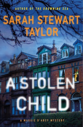 A Stolen Child: A Maggie D'arcy Mystery