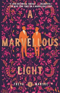 Couverture_A Marvellous Light