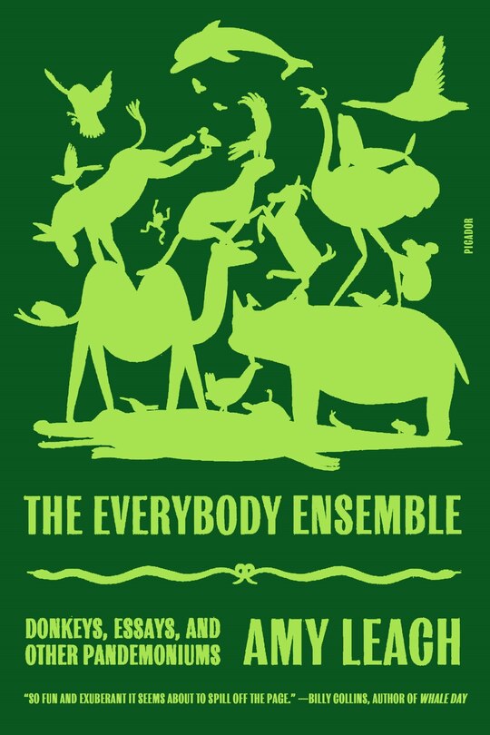 Front cover_The Everybody Ensemble