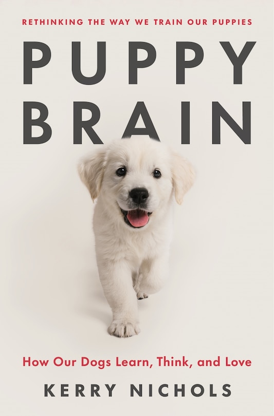 Front cover_Puppy Brain