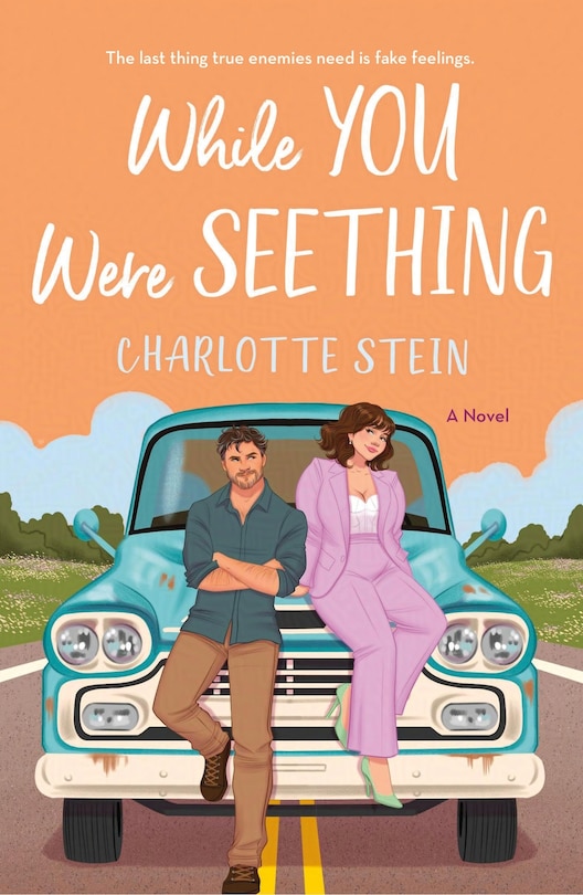 Front cover_While You Were Seething