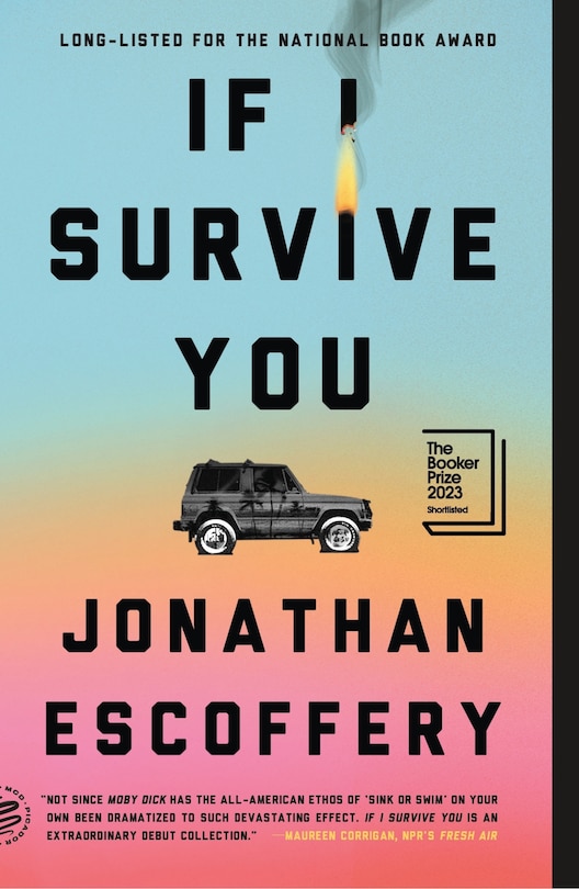 Front cover_If I Survive You