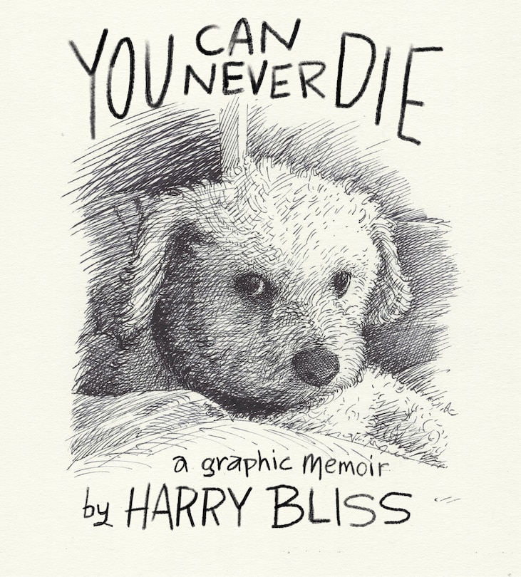 Front cover_You Can Never Die