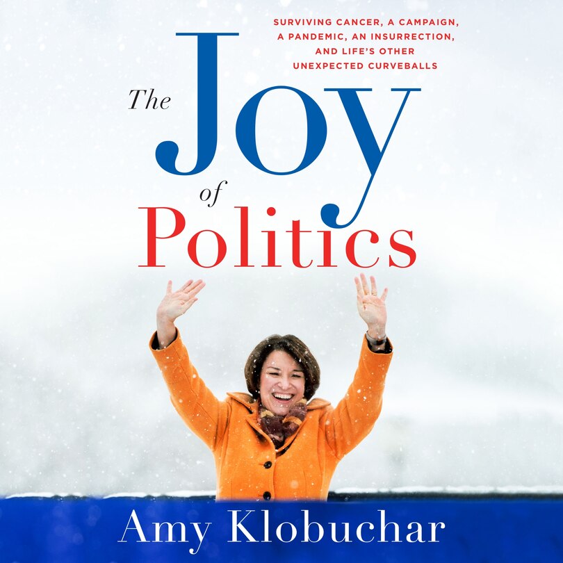 Couverture_The Joy of Politics