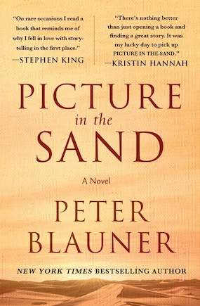 Picture in the Sand: A Novel