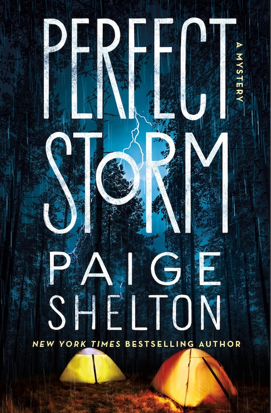 Perfect Storm: A Mystery