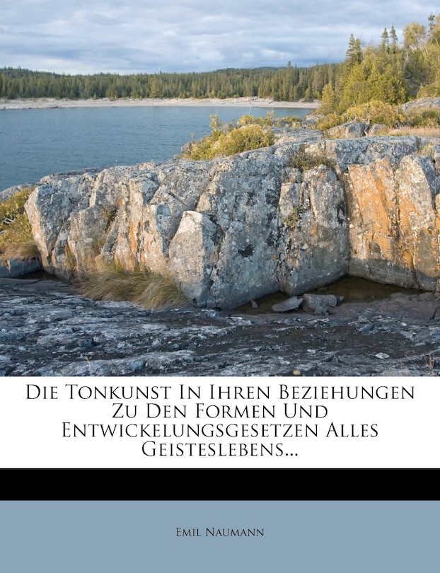 Couverture_Die Tonkunst in ihren Beziehungen zu den Formen und Entwickelungsgesetzen alles Geisteslebens