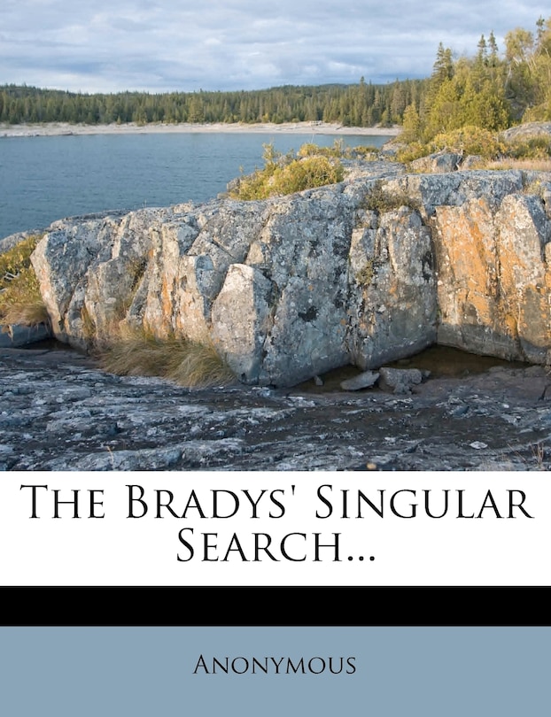 Couverture_The Bradys' Singular Search