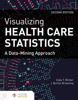 Front cover_Visualizing Health Care Statistics: A Data-Mining Approach