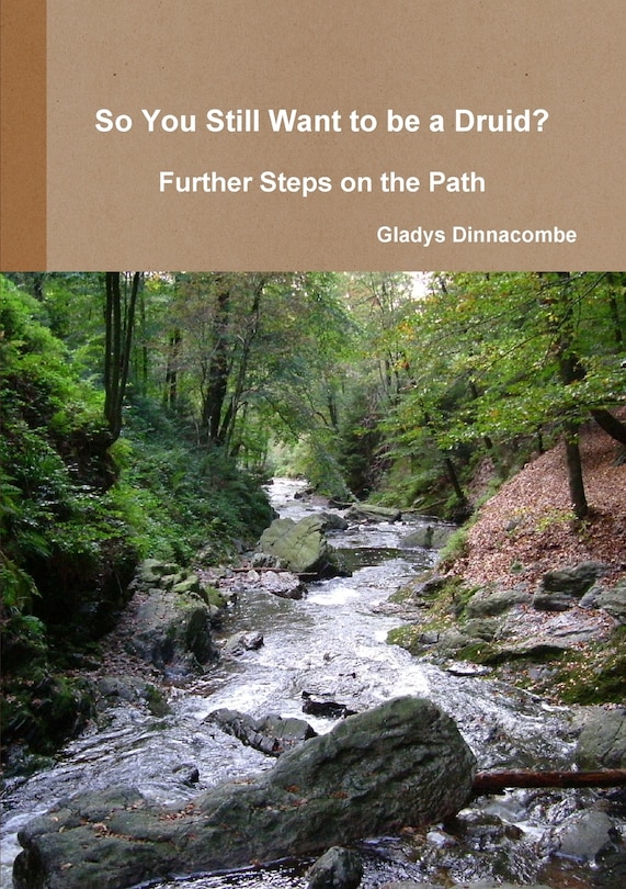 Couverture_So You Still Want to be a Druid? - Further Steps on the Path