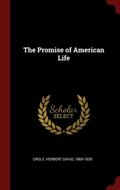 Couverture_The Promise of American Life