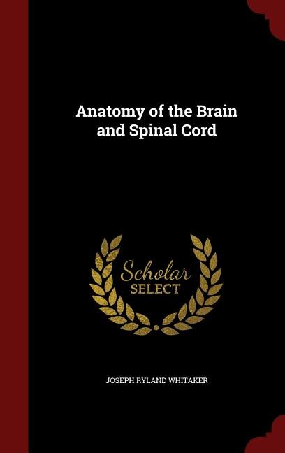 Anatomy of the Brain and Spinal Cord