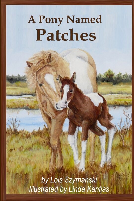 Couverture_A Pony Named Patches