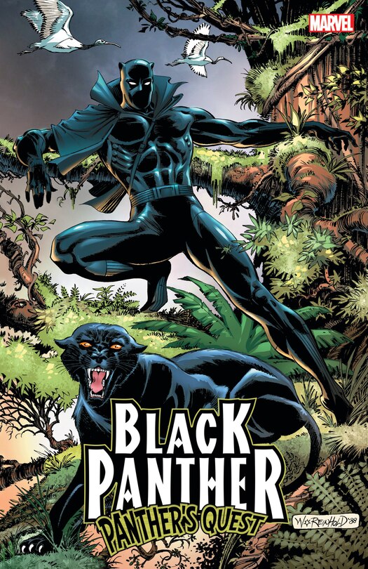 Front cover_Black Panther: Panther's Quest