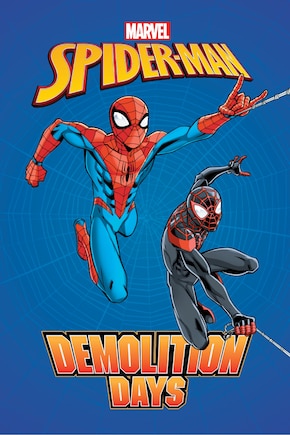 Spider-man: Demolition Days