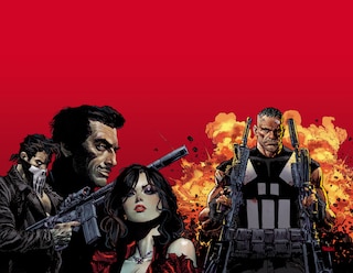 Front cover_Marvel Knights: Punisher