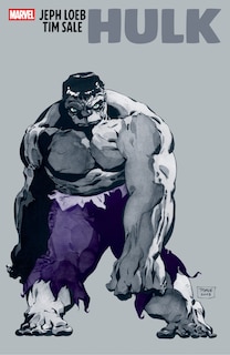 Front cover_JEPH LOEB & TIM SALE: HULK
