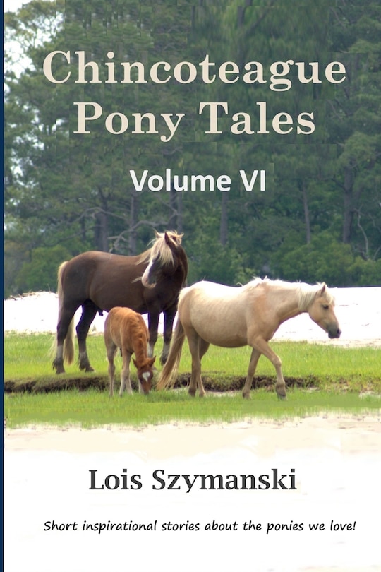 Front cover_Chincoteague Pony Tales