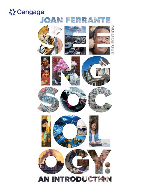 Couverture_Seeing Sociology