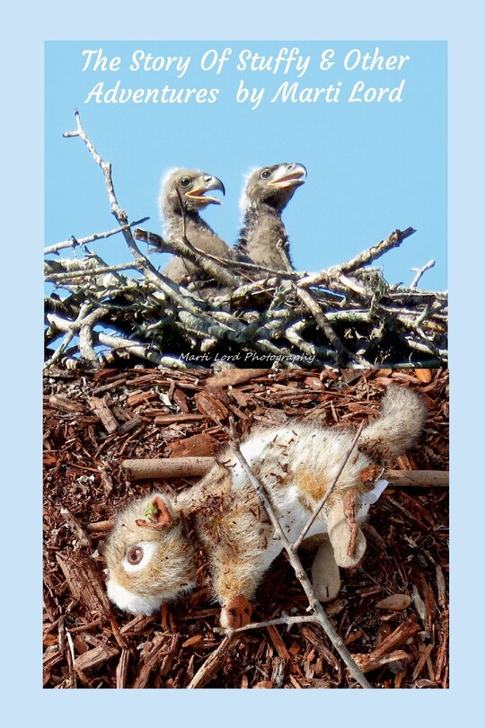 Couverture_The Story of Stuffy & Other Adventures