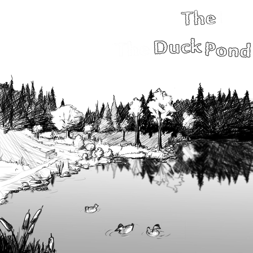 Couverture_The Duck Pond