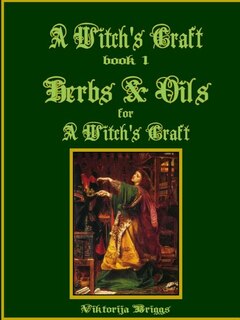 Front cover_A Witch's Craft, Book 1