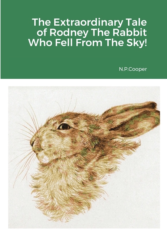 Front cover_The Extraordinary Tale Of Rodney The Rabbit Who Fell From The Sky
