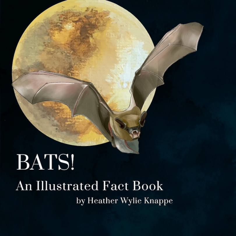 Front cover_Bats! An Illustrated Fact Book
