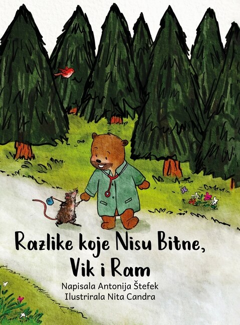 Front cover_Razlike koje Nisu Vazne, Vik i Ram