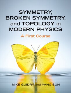 Couverture_Symmetry, Broken Symmetry, And Topology In Modern Physics
