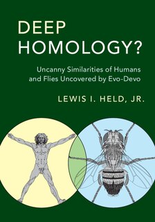 Couverture_Deep Homology?