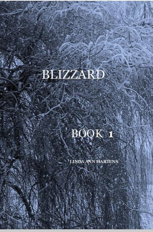 Front cover_BLIZZARD BOOK 1 LINDA ANN MARTENS