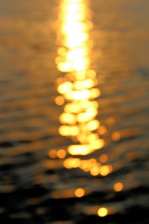 Couverture_and when yre tired of that old yiddish