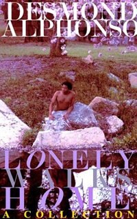 Front cover_Lonely Walks Home