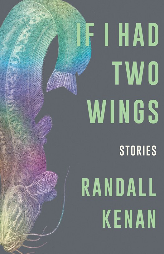 Couverture_If I Had Two Wings