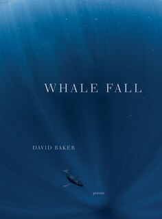 Couverture_Whale Fall