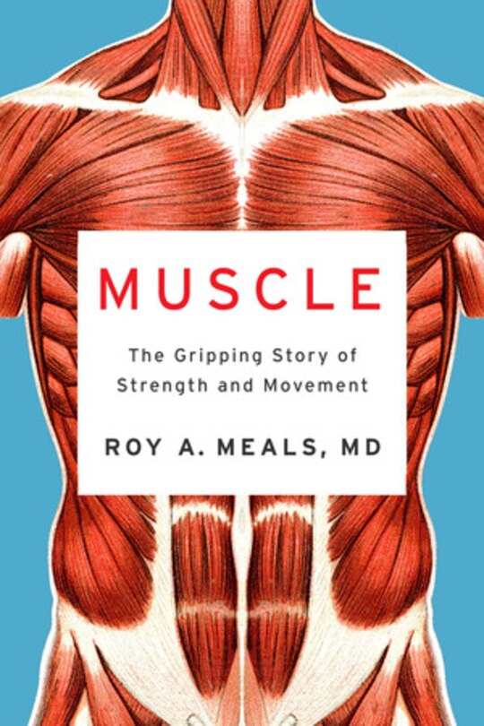 Front cover_Muscle