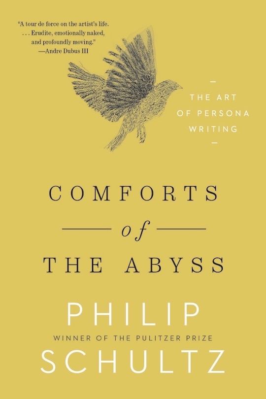 Front cover_Comforts of the Abyss