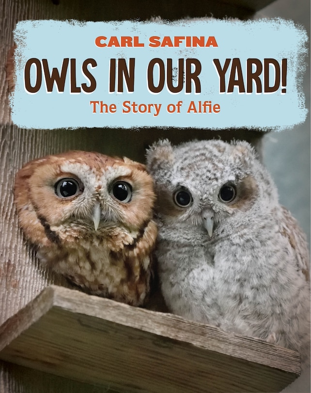 Couverture_Owls in Our Yard!