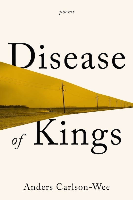 Couverture_Disease of Kings
