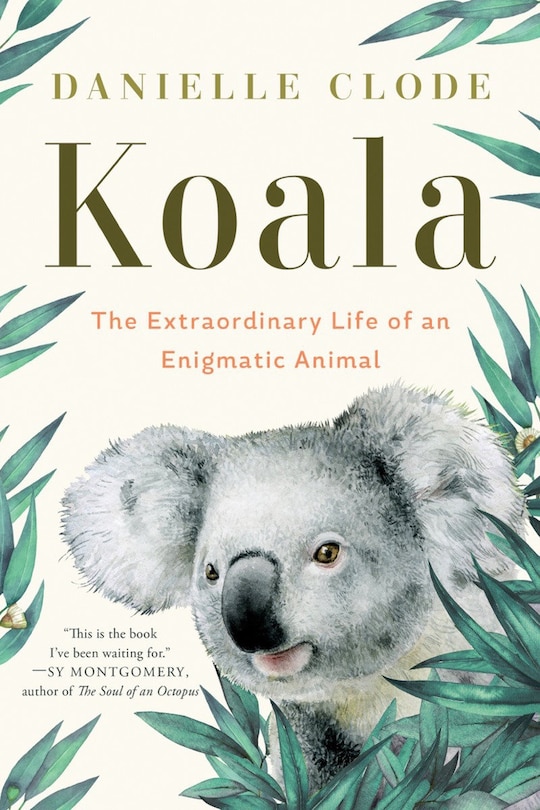 Front cover_Koala
