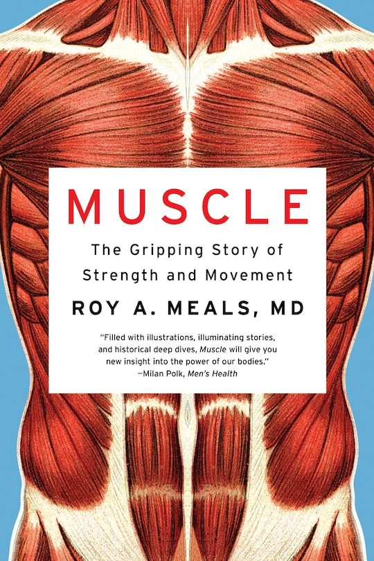 Couverture_Muscle