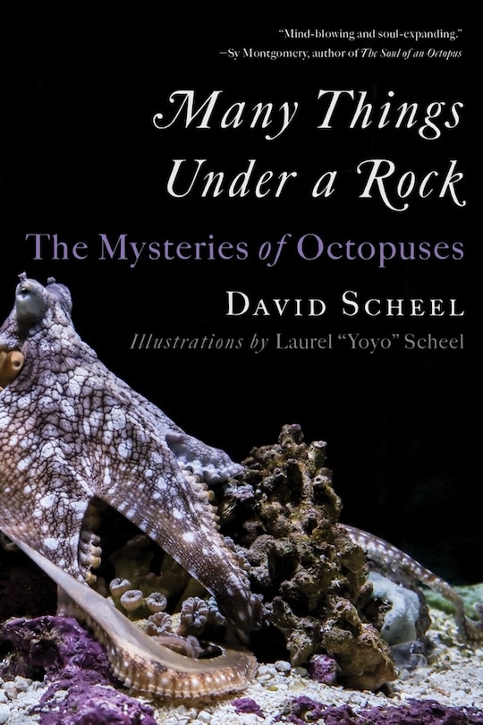 Couverture_Many Things Under a Rock