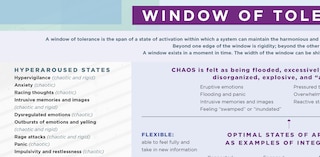 Front cover_Window of Tolerance Laminated Card
